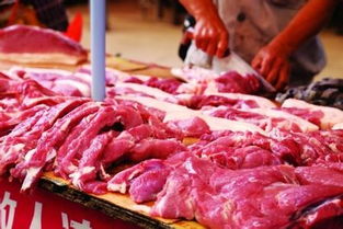 全國豬肉價格漲勢顯著放緩 市場供需格局趨于平衡